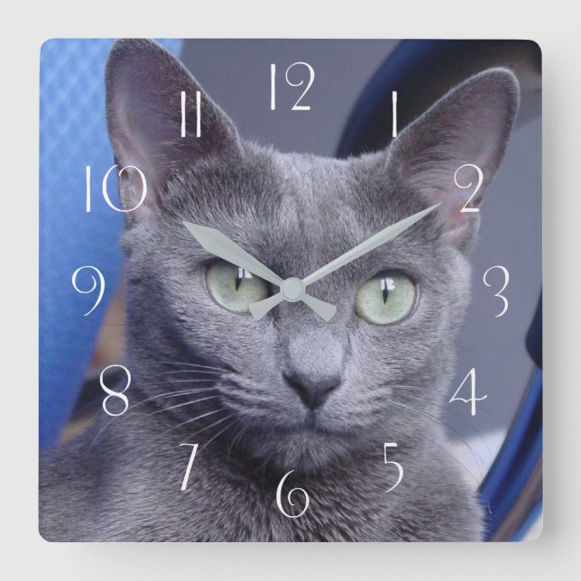 Russian Blue‎ Cat Square Wall Clock (Front)