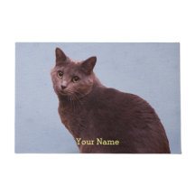 Russian Blue Cat Staring