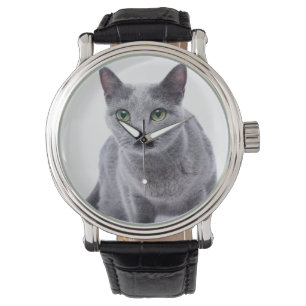 Russian Blue Cat Watch