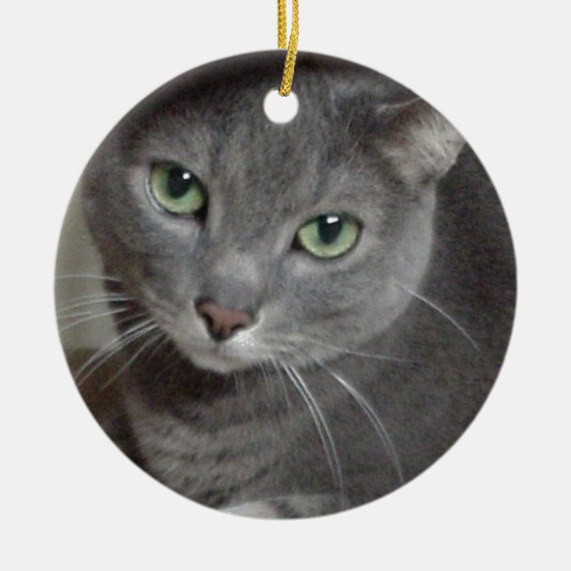 Russian Blue Grey Cat Ceramic Ornament (Front)