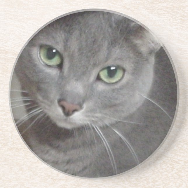 Russian Blue Grey Cat Coaster (Front)