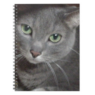 Russian Blue Grey Cat Notebook