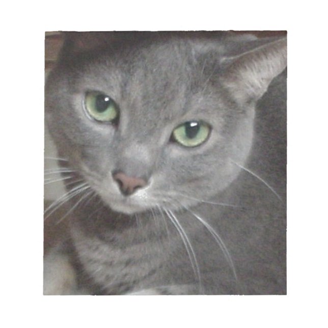 Russian Blue Grey Cat Notepad (Front)