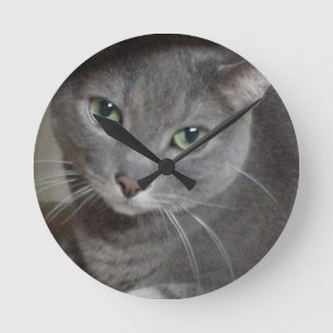 Russian Blue Grey Cat Round Clock