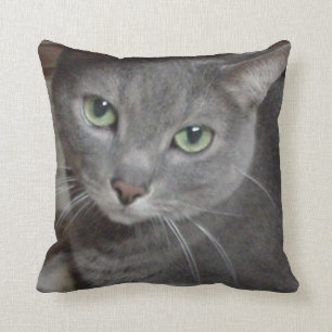 Russian Blue Grey Cat Throw Pillow