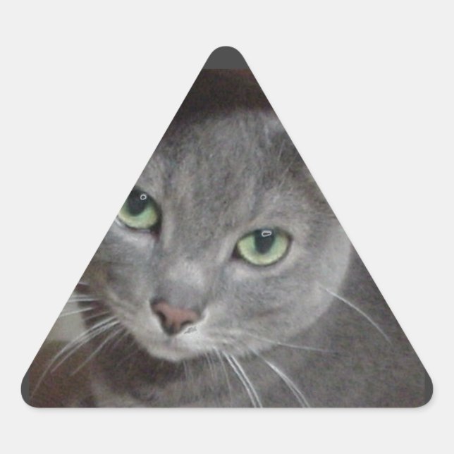 Russian Blue Grey Cat Triangle Sticker (Front)