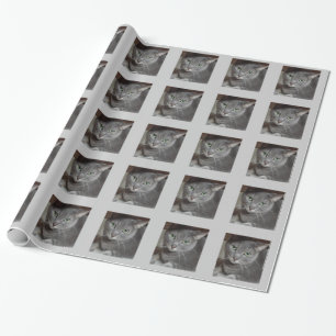 Russian Blue Grey Cat Wrapping Paper