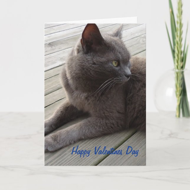 Russian Blue Holiday Card (Front)