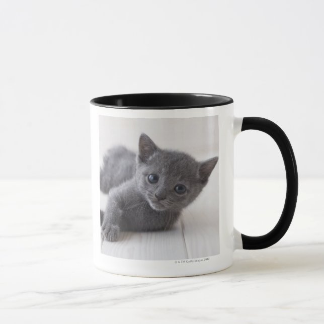 Russian Blue Kitten Mug (Right)