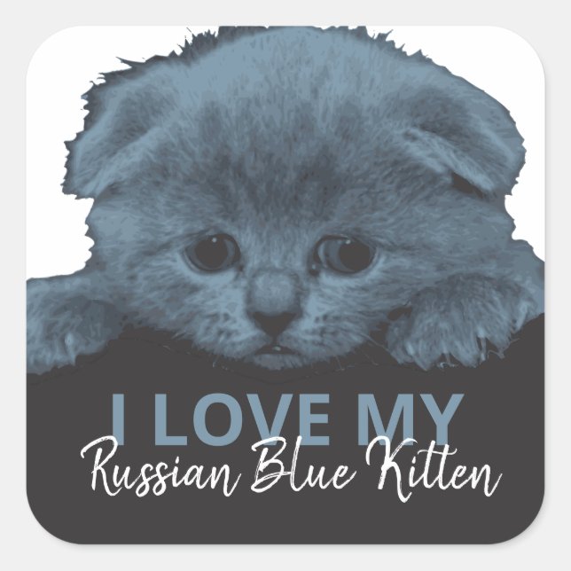Russian Blue Kitten Square Sticker (Front)
