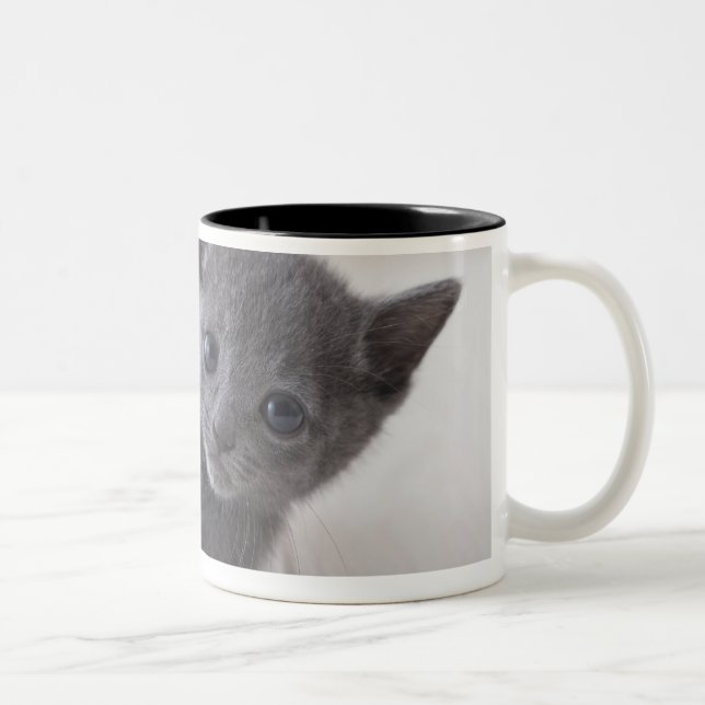 Russian Blue Kitten Two-Tone Coffee Mug (Right)