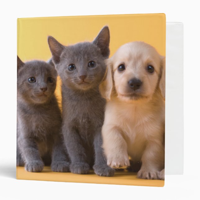 Russian Blue Kittens And Dachshund Puppies Binder (Front/Inside)