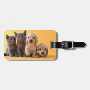 Russian Blue Kittens And Dachshund Puppies Luggage Tag