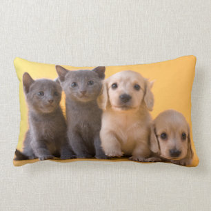 Russian Blue Kittens And Dachshund Puppies Lumbar Pillow