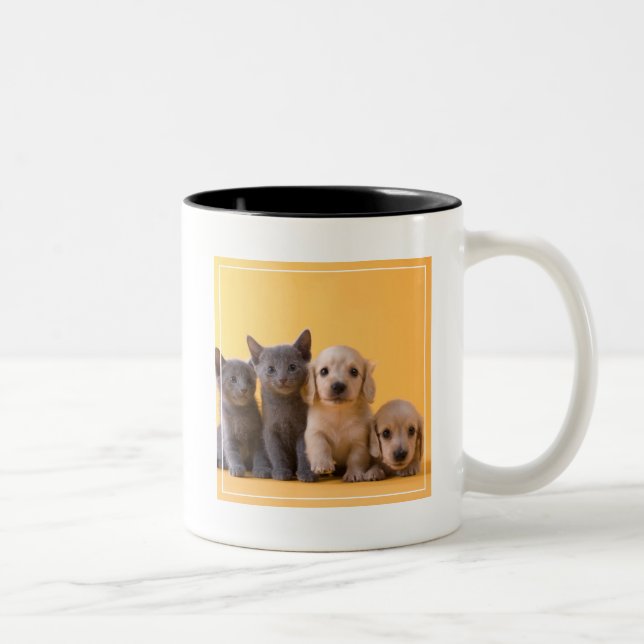 Russian Blue Kittens And Dachshund Puppies Two-Tone Coffee Mug (Right)