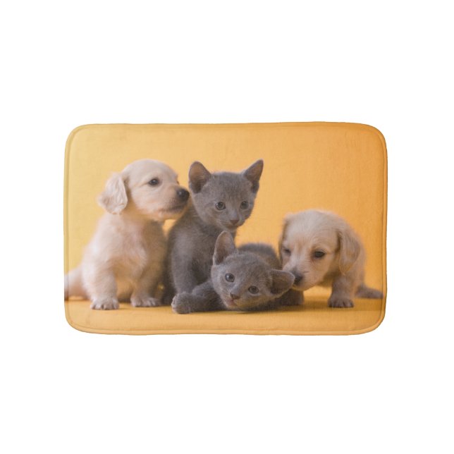 Russian Blue Kittens & Dachshund Puppies Bath Mat (Front)