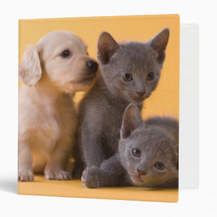 Russian Blue Kittens & Dachshund Puppies Binder