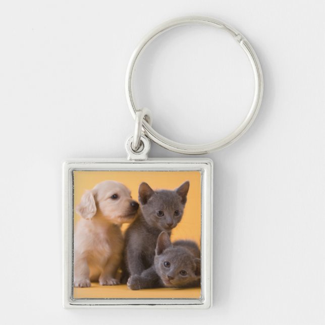 Russian Blue Kittens & Dachshund Puppies Keychain (Front)