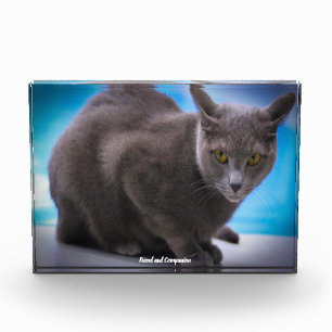 Russian Blue Photo Block