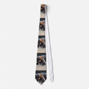 Russian Brown Bear Tie