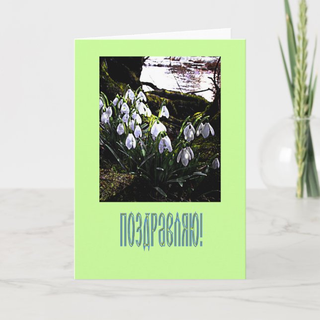 Russian Congratulations Card with snowdrops (Front)
