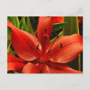 Russian Romance Postcard