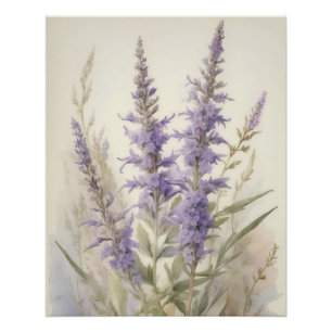 Russian Sage Poster