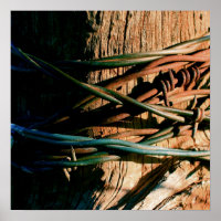 Rust and Blue Barbed Wire