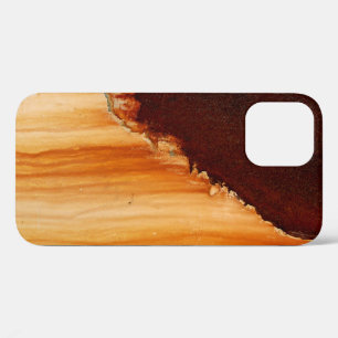 Rust Art Cool Fun Unique iPhone 12 Pro Case