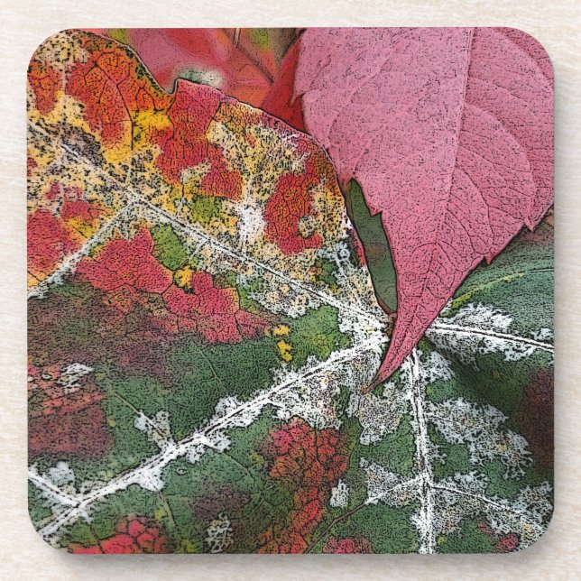rust of autumn coaster (Front)