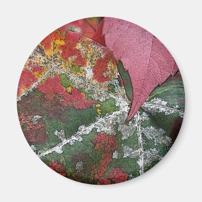 rust of autumn magnet (Front)