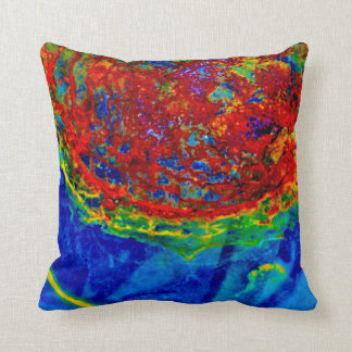 "Rust On Glass" JTG Art Pillow