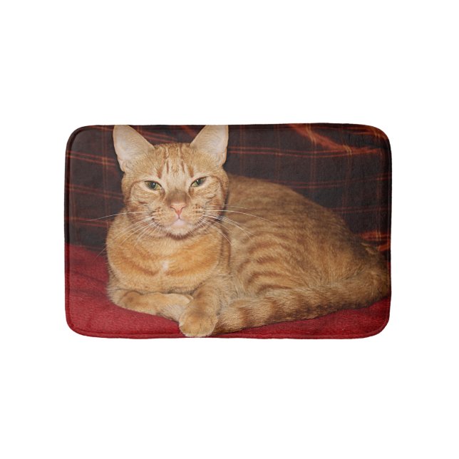 Rust Orange Tabby Cat Smiling Bath Mat (Front)