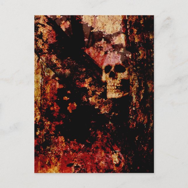 Rusted Skull Postcard (Front)