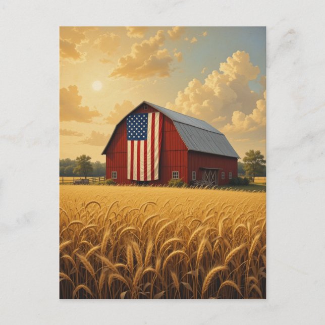 Rustic American Barn in Wheat Field at Sunset Postcard (Front)