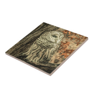 rustic autumn leaves oak tree white owl tile
