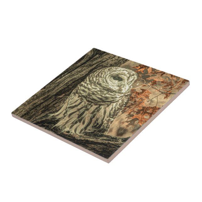 rustic autumn leaves oak tree white owl tile (Side)