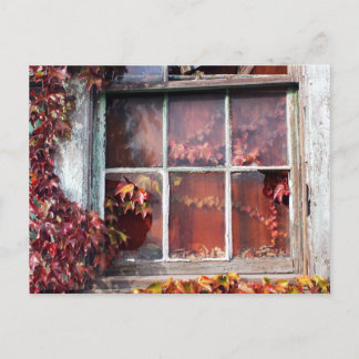 Rustic Autumn Vines Against An Old Building Card