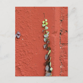 Rustic Autumn Vines Against An Old Building Card