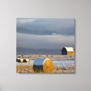 Rustic barn and hay bales after a fresh snow 3 canvas print