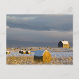 Rustic barn and hay bales after a fresh snow 3 postcard