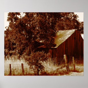 Rustic Barn, sepia Poster
