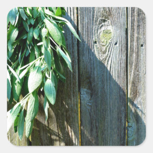 Rustic barn wood herbs greenery  square sticker