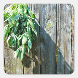 Rustic barn wood herbs greenery  square sticker