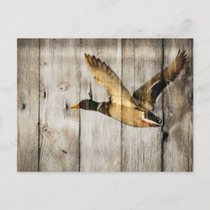 Rustic Barn wood Western Country flying Wild Duck Postcard