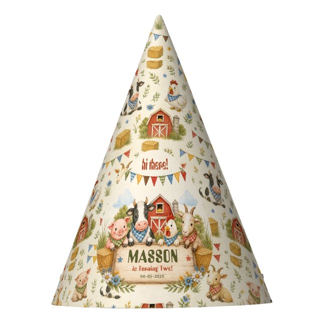 Rustic Barnyard 2nd Birthday kids Party Hat (Front)