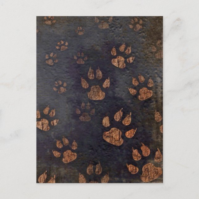 Rustic Black Paw Pattern Postcard (Front)