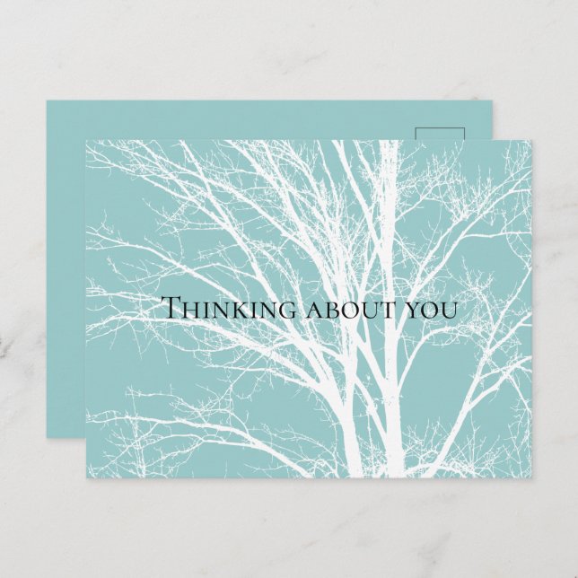 Rustic Blue White Tree Branches Postcard (Front/Back)