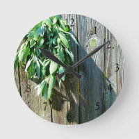 Rustic boho herbs Barn-wood
