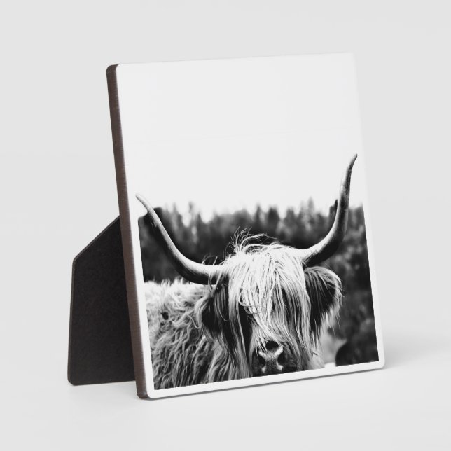 Rustic Boho Highland Cow Plaque (Front)